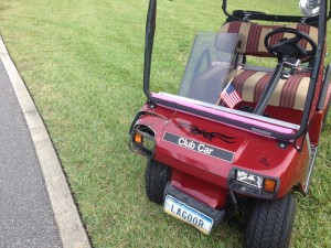 Abandoned Golf Cart (2)