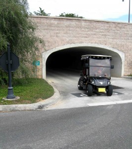 The tunnel at County Road 466A.