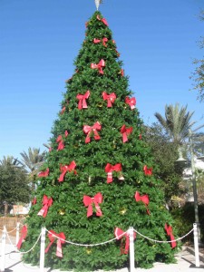 The Christmas tree at Lake Sumter Landing will be lit Wednesday evening.