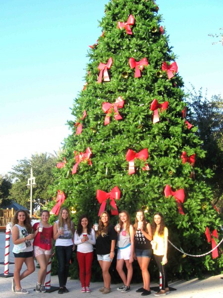 Lexi Cuevas, far left, and the Girl Scouts of Troop 1296 pose by the Christmas tree at Lake Sumter Landing.