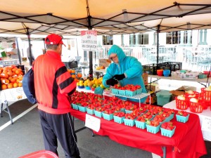 Debbie Howard of Reed's Groves shows some produce Thursday morning at the Farmer's Market at Spanish Springs Town Square. (Ron Clark photo) 