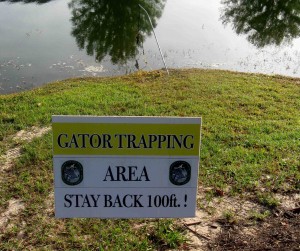 A sign warns the curious to stay away from a baited-alligator trap.