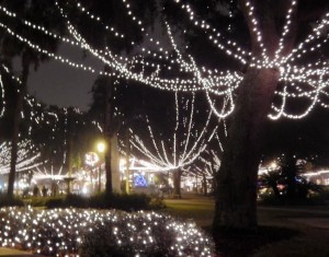 The famed lights are on display in St. Augustine.