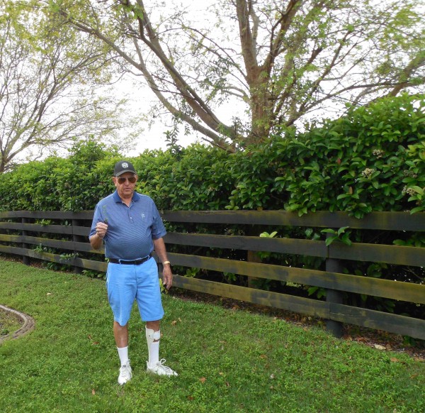 Bill Copeland has prevailed in a two-year battle to have trees removed.