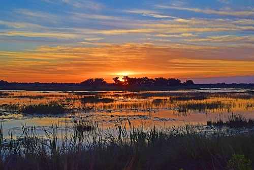 Sunrise Over Evans Prairie In The Villages. 