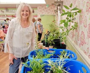 Susan Turnipseed took inventory of the Florida-friendly raffle plants on hand.