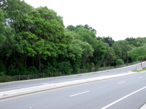 An assisted living facility is being proposed for this tree-lined area of County Road 466.