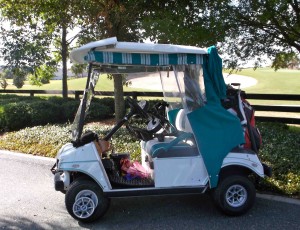 Golf cart driver suffers injury in accident on multi-modal path