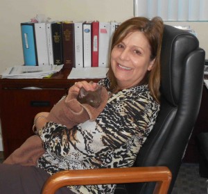 Town Manager Kris Kollgaard was persuaded to adopt a cat.