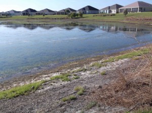 Residents who paid premium prices angry about pond
