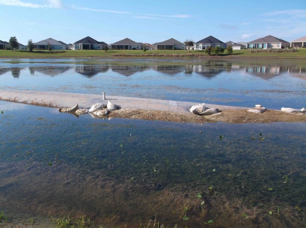 Residents who paid premium prices angry about pond