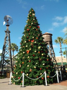The Christmas tree is up at Brownwood Paddock Square.