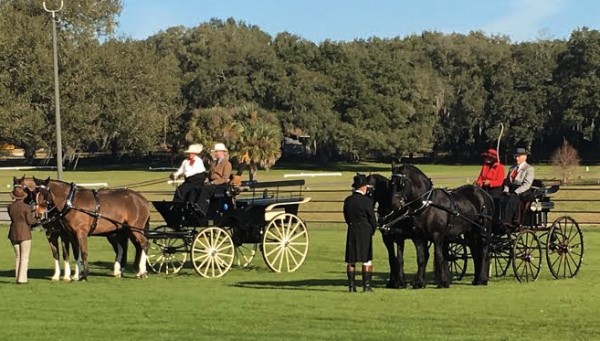 Horses and carriages were on display this weekend at Grand Oaks.