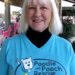 Susan Gros of Poodle and Pooch Rescue.