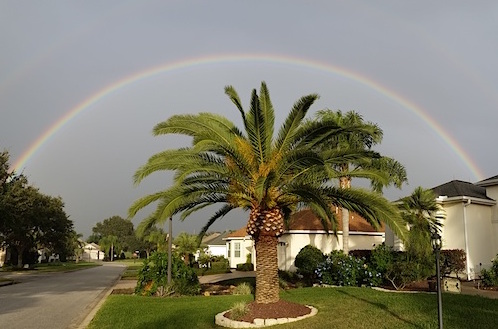 A rainbow in the Village of Springdale