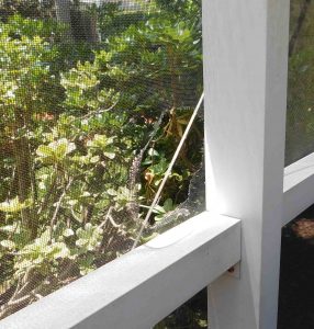 A rat chewed through the screen on the lanai of Sally Childs' home in the Village of Santiago.