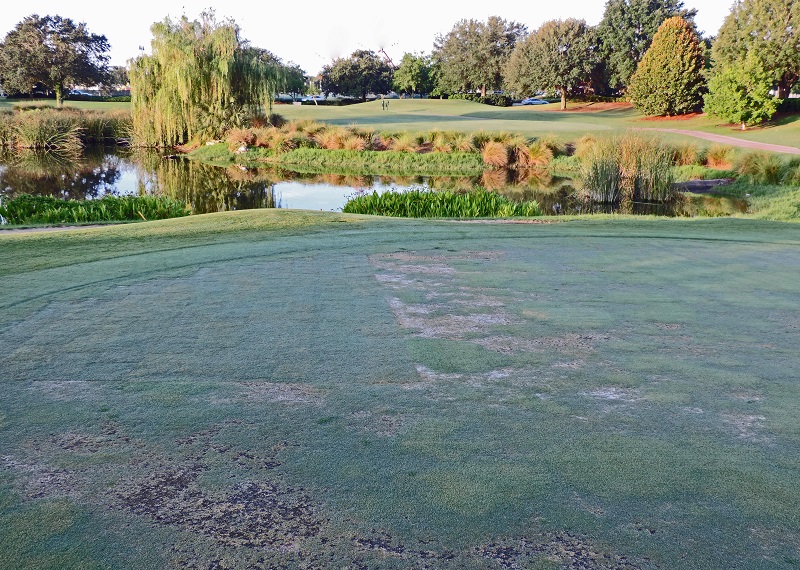 Hawkes Bay Executive Golf Course will be closed an additional two weeks