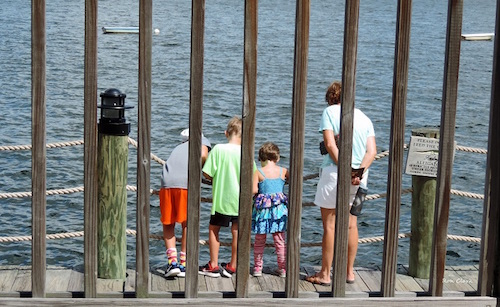 A family checks out the turtles at Lake Sumter Landing