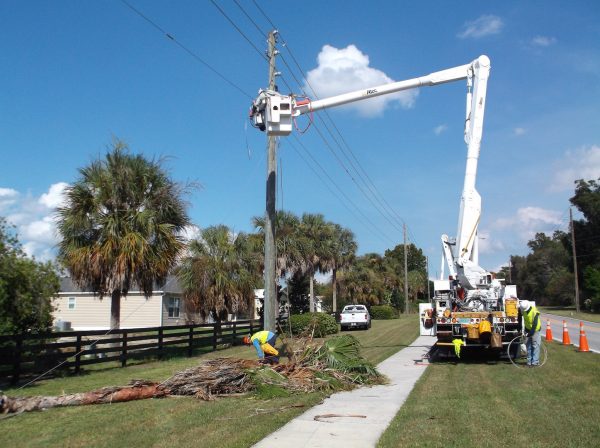 Duke Energy personnel attempt to make repairs where the palm tree came down near the Jeffrey Gate.