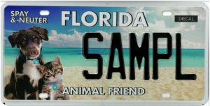 Florida drivers can obtain license plates to show they are friends to animals.