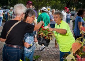 You can pickup plants and great gardening tips at the plant sale this weekend.