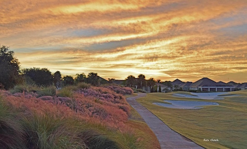 Colorful sunrise with Muhly Grass over Laurel Valley Golf Course