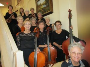 The Camerata String Ensemble of Central Florida