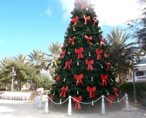 The Christmas tree is up at Lake Sumter Landing Market Square.