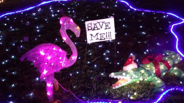 A pink flamingo and alligator are part of the decorations.