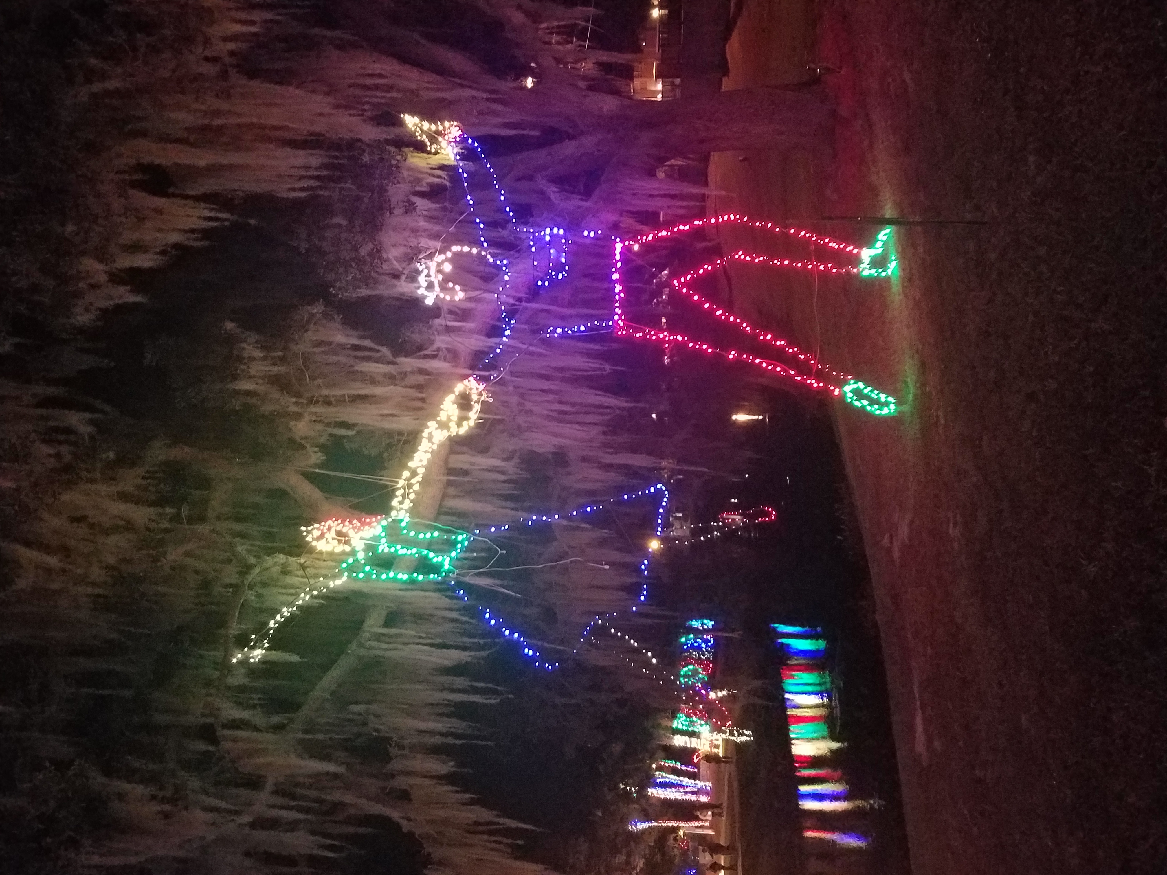 Gardens' holiday light show is synchronized spectacle