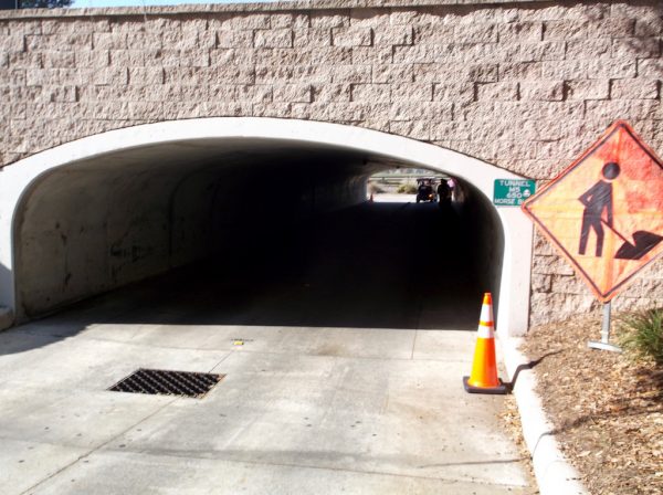 Inspectors from the Florida Department of Transportation on Thursday were in the tunnel under Morse Boulevard near the entrance to the multi-modal path over the Morse Boulevard bridge.