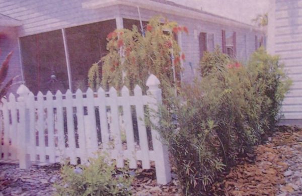 A photo from Community Standards shows hedges and a Bottlebrush tree at Gloria Fealy's home in Buttonwood.