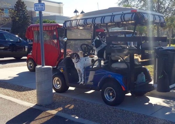 Bad golf cart parking at Pinellas Library