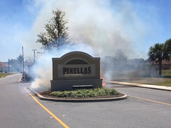 A carelessly tossed cigarette butt ignited a blaze Sunday at the entrance to the Village of Pinellas.