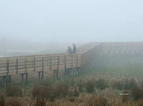 Folks watching the wildlife at a foggy preserve this morning