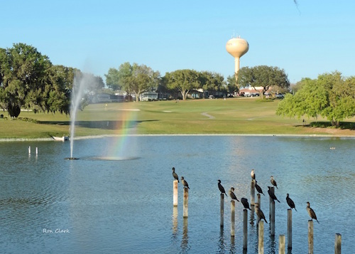 Golfview park in the Village of Orange Blossom Gardens