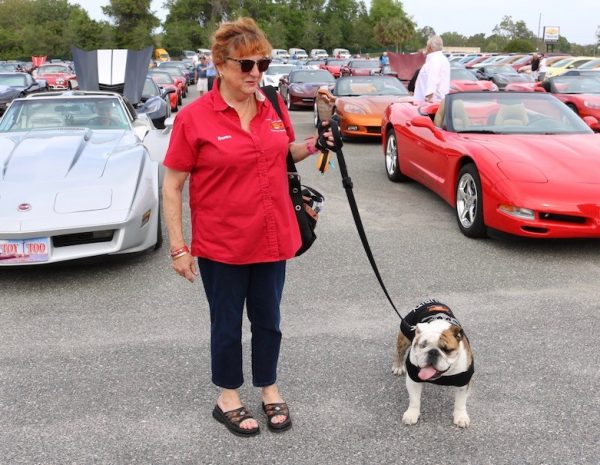 Maximus, the Official mascot of the Villages Corvette club with his owner Susan Fingard of the Village of Pennecamp.