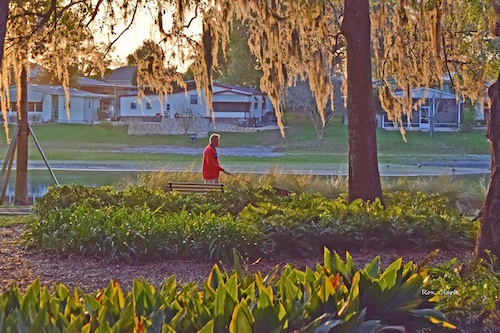 Morning walk at Paradise Park at sunrise in The Villages