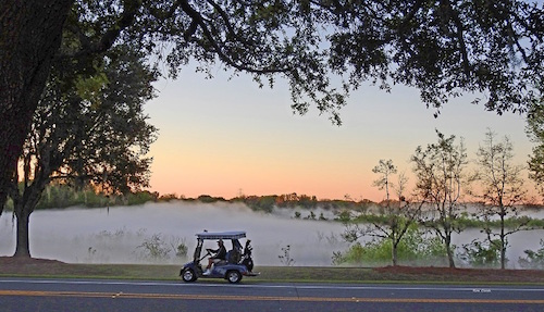 Early golfers driving past a foggy preserve in The Villages