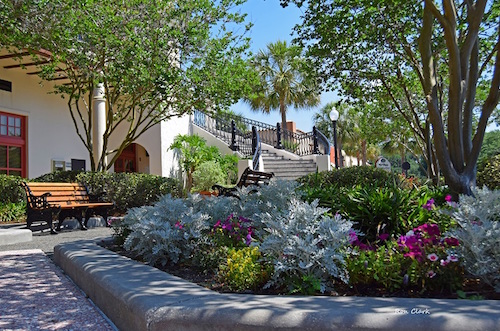 Spring is blooming at Spanish Springs Town Square