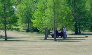 A dog walker drove a golf cart onto a piece of District property behind The Villages Regional Hospital to take her dog for a walk.