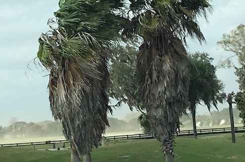 Donna Lasko snapped this windstorm before severe weather warning