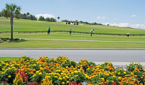 Volusia Executive Golf Course in The Villages