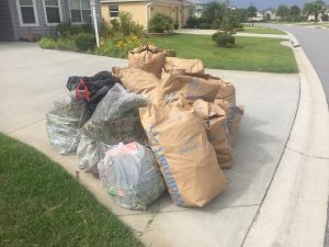 The bags of weeds collected by some residents of the Village of Fernandina who helped out in Morrow's garden 