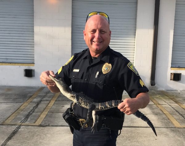 Sgt. Scott Gray with the baby alligator