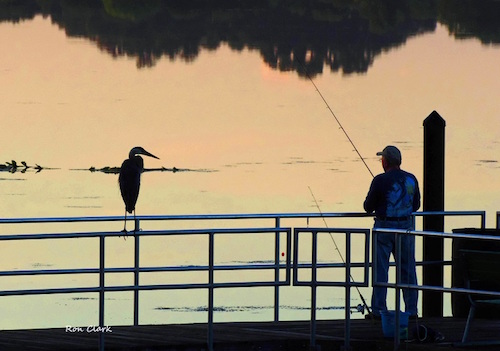 Sunrise fishing buddies at Lake Miona in The Villages