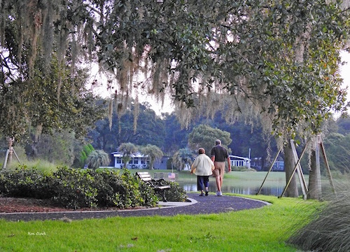 A peaceful morning walk at Paradise Park in The Villages