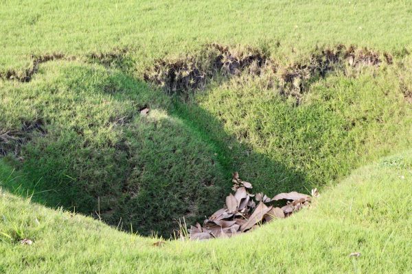 A sinkhole has formed at Hawkes Bay Executive Golf Course.