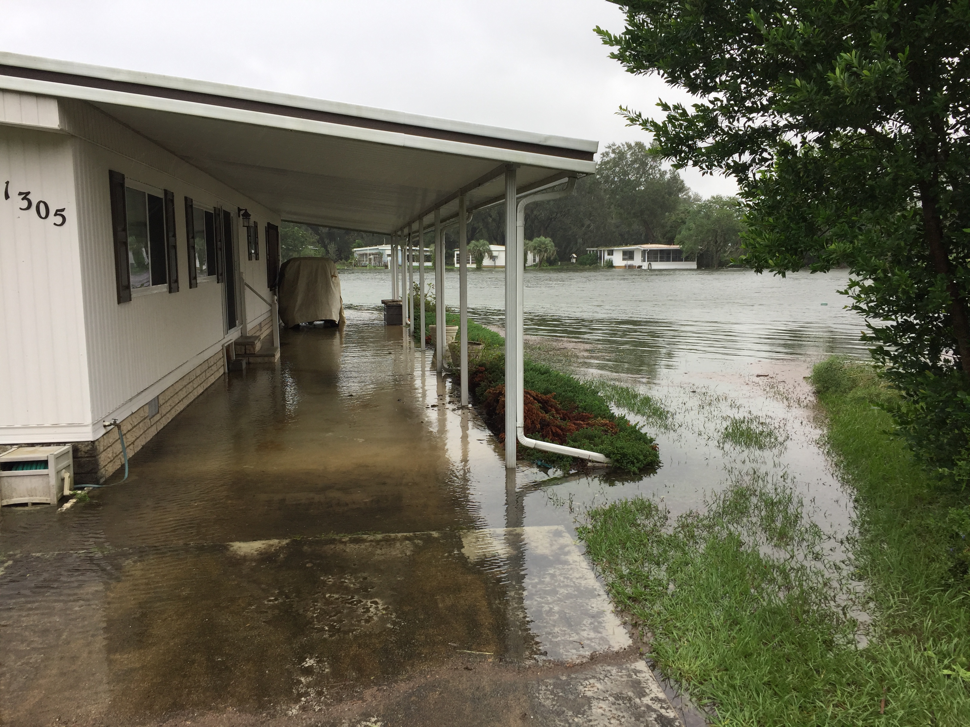 Flooding in some of the homes in Orange Blossom Gardens near golf cart bridge