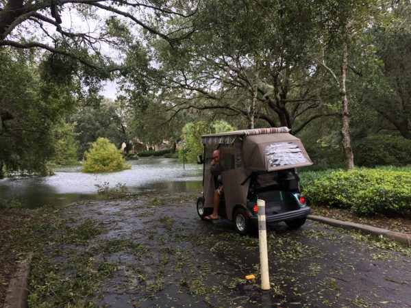 Golf cart path covered in foliage and water